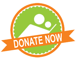 Donate now button with green logo